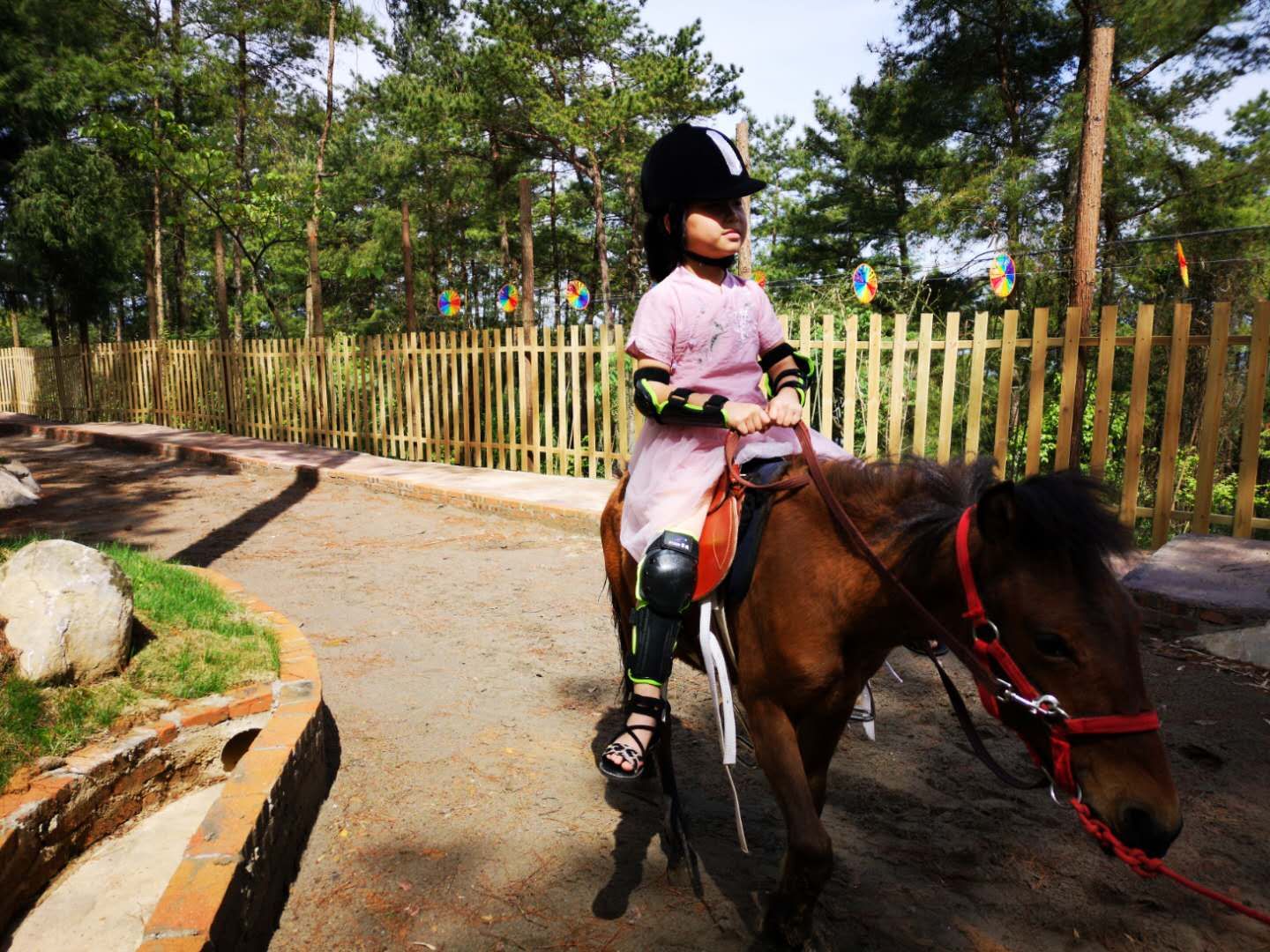 8BE701F7067727218C9F301821A6DF2F.jpg 8BE701F7067727218C9F301821A6DF2F.jpg