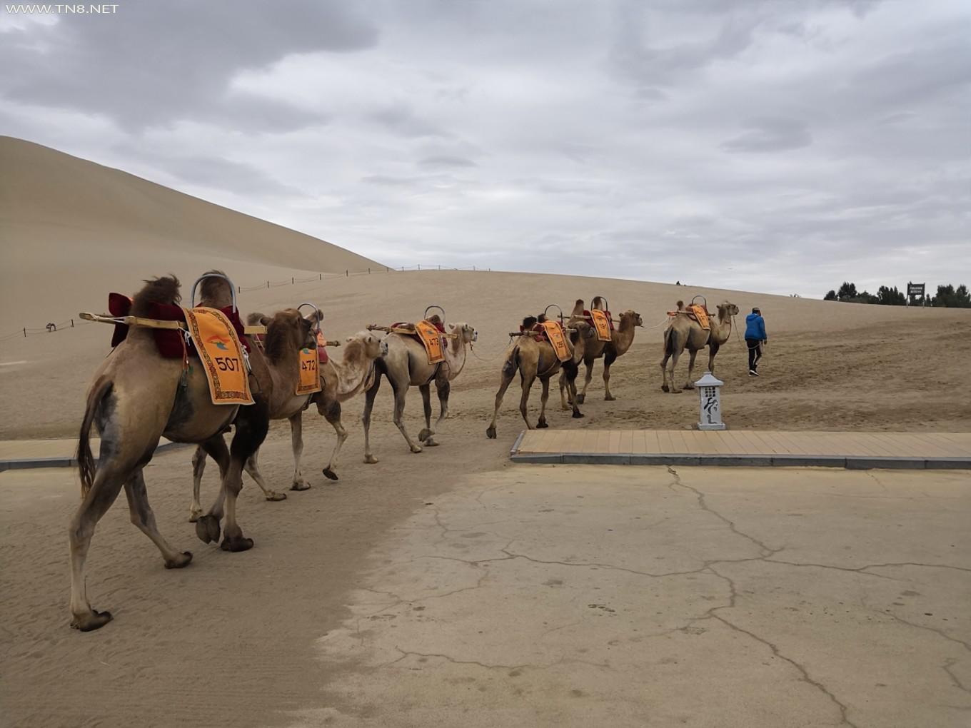 图片1.png 图片1.png