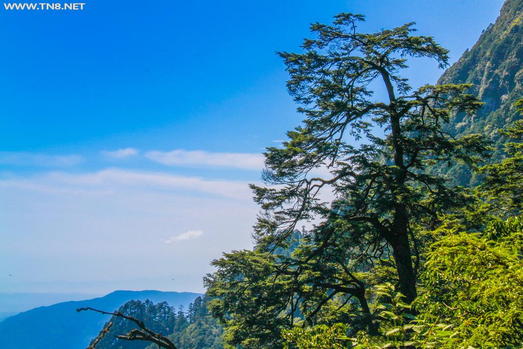 烟雨茫茫，充满神秘感的峨眉山，这个假期，不虚此行