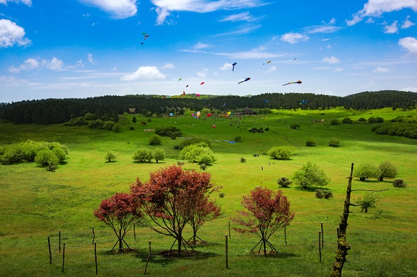 仙女山.jpg 仙女山.jpg