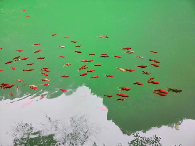 天生三桥，水绕青山山绕水，山浮绿水水浮山，美