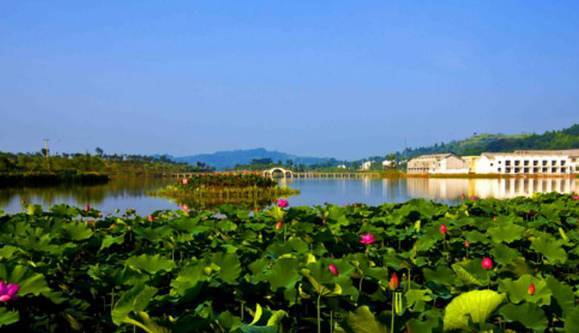 渝遂高速沿线赏秋趣味之旅