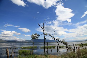 苍山洱海无敌的山水美景吸引太多游人流连忘返。