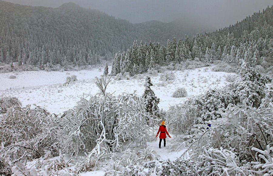 仙女山雪景 仙女山雪景