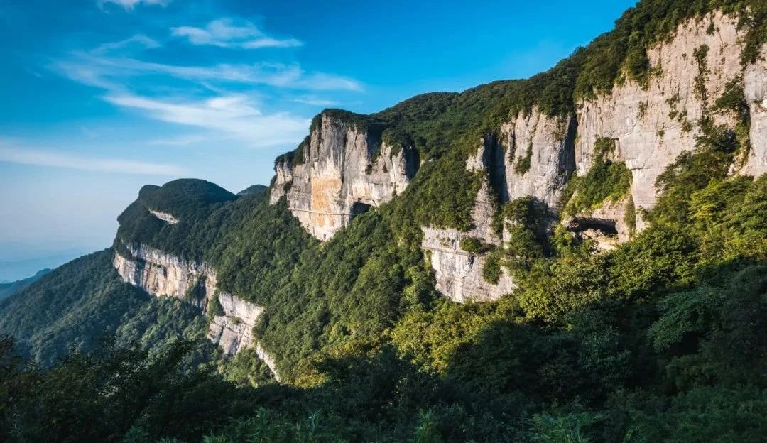 来源金佛山旅游.jpg