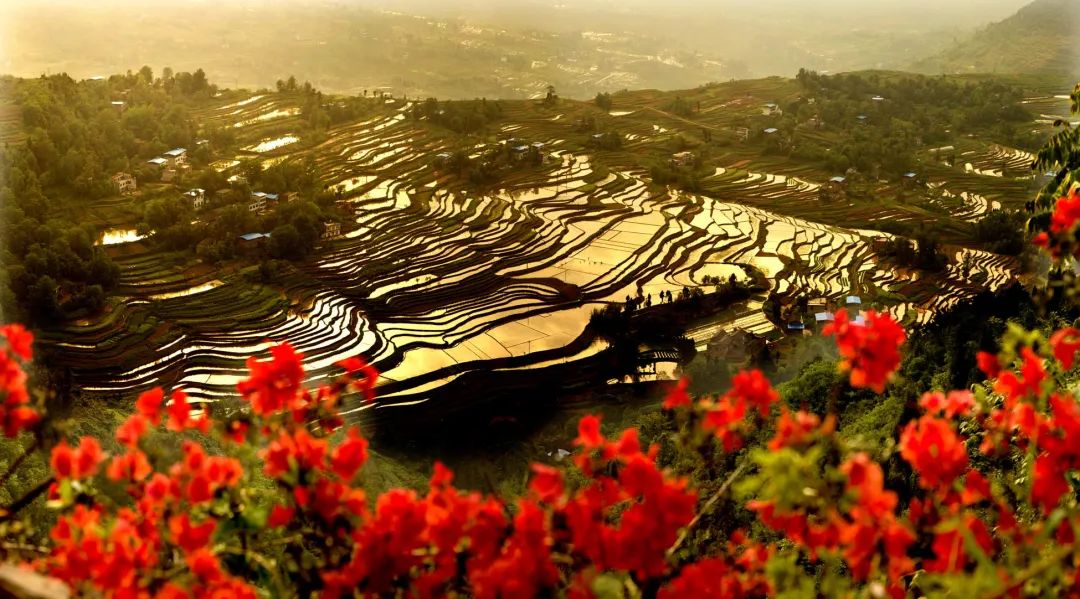 万州凤凰花果山.jpg